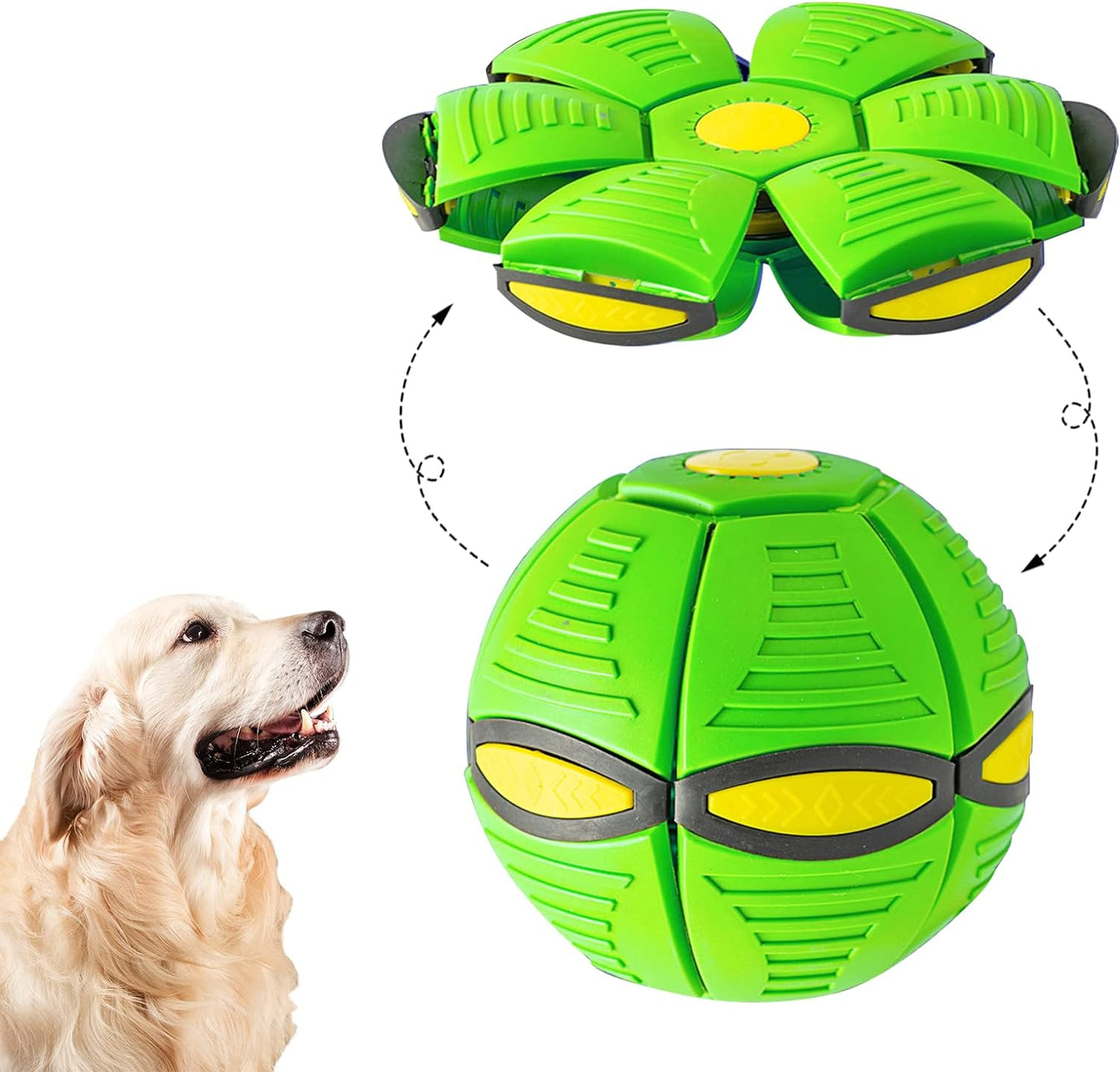 Dog Frisbee