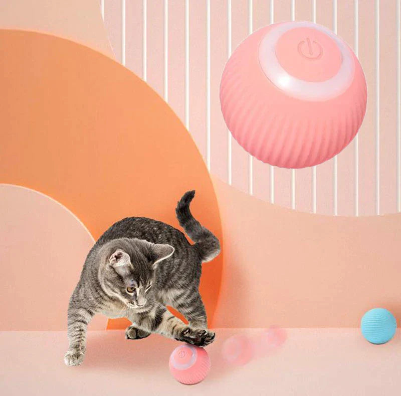Interactive Ball For Pets