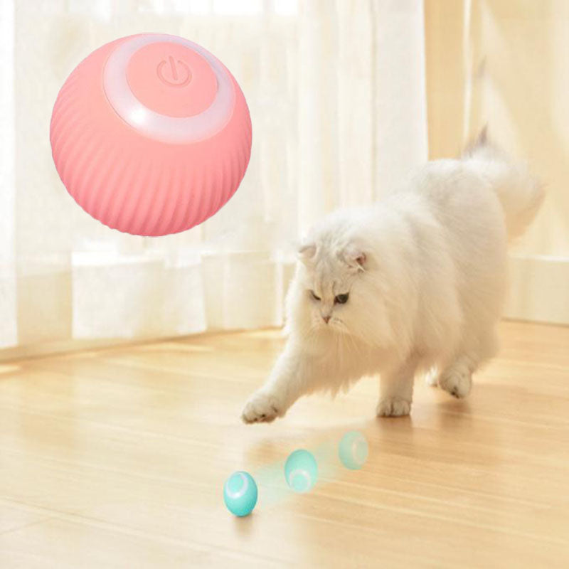 Interactive Ball For Pets
